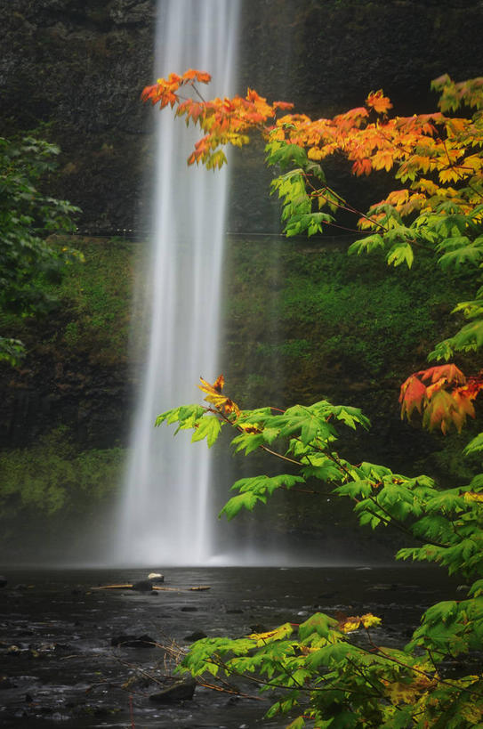 无人,竖图,室外,白天,正面,旅游,度假,河流,美景,瀑布,秋季,山,山脉,树林,水,植物,美国,飞溅,溅,液体,河水,景观,山峰,水滴,水流,山峦,娱乐,水珠,树,树木,绿色,自然,群山,享受,休闲,景色,放松,生长,成长,北美,北美洲,喷洒,自然风光,美洲,俄亥俄州,北亚美利加洲,亚美利加洲,俄亥俄,七叶树州,七叶果之州,跌水,秋,秋天,彩图,县治,马里恩,马里恩县
