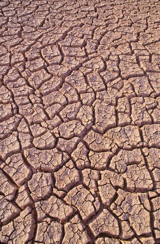 无人,竖图,俯视,室外,特写,白天,旅游,度假,美景,沙漠,墨西哥,阴影,丰富,破碎,光线,纹路,纹理,影子,景观,泥土,土壤,褐色,自然灾害,娱乐,阳光,自然,享受,休闲,景色,成熟,放松,北美,碎裂,北美洲,干旱,破裂,灾难,自然风光,美洲,分裂,肌理,北亚美利加洲,亚美利加洲,墨西哥合众国,仙人掌王国,北下加利福尼亚,北下加利福尼亚州,吉拉沙漠,索诺拉沙漠,索诺兰沙漠,谦让,随和,劫难,磨难,灾祸,下加利福尼亚州,大漠,砂漠,彩图,高角度拍摄,灾害,决裂