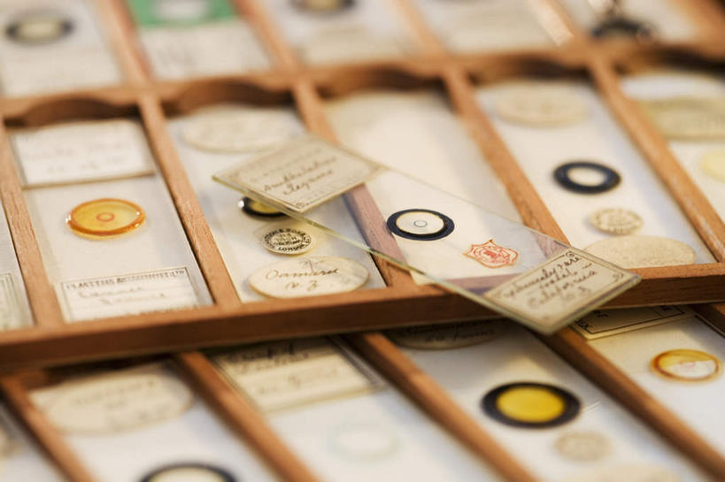 无人,横图,俯视,室内,特写,白天,静物,一排,许多,朦胧,模糊,整齐,并列,并排,实验室,研究室,很多,排列,队列,平行,试验室,载玻片,玻片,盖玻片,彩图,高角度拍摄