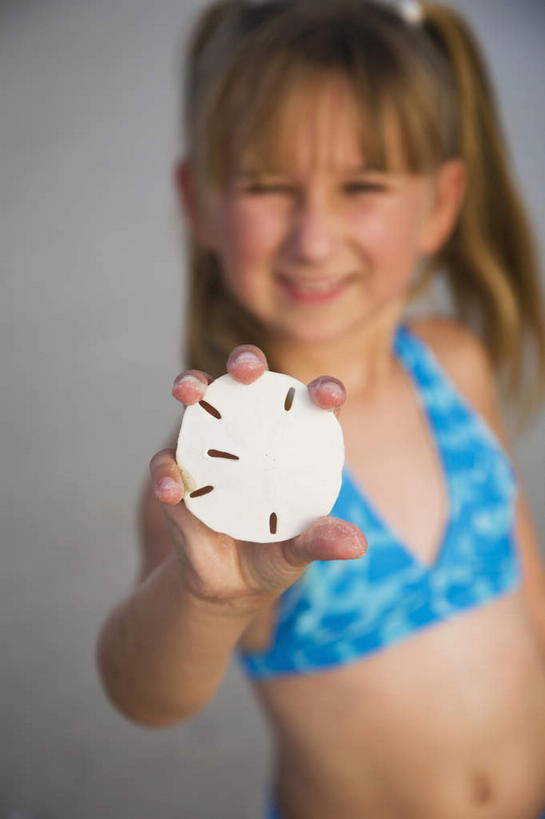 西方人,儿童,一个人,站,举,笑,微笑,露齿笑,竖图,俯视,室外,特写,白天,泳装,比基尼,旅游,度假,纯洁,美景,欧洲,欧洲人,仅一个女性,仅一个人,阴影,朦胧,模糊,光线,影子,景观,注视,娱乐,海洋生物,一只,小孩,白色,阳光,自然,观察,看,托,站着,仅一个小孩,享受,休闲,景色,放松,可爱,童年,童趣,观看,察看,关注,自然风光,水生动物,水生物,童真,海底动物,烂漫,无邪,海钱,沙钱,天真,女孩,女人,女性,白种人,孩子,举起,举手,举着,抬头,向上举,向上伸,向上托,仰头,站立,半身,彩图,高角度拍摄,三点式,泳衣,女生