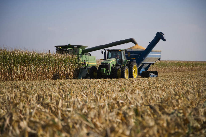 无人,农田,竖图,室外,白天,正面,农业,庄稼,农作物,收割,美景,一辆,阴影,丰收,光线,工具,影子,稻田,景观,云,云朵,云彩,蓝色,白云,蓝天,天空,阳光,自然,天,景色,收获,晴朗,自然风光,收割机,农具,脱粒,晴空,彩图,耕地,庄稼田