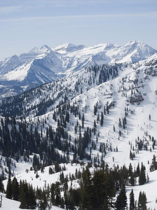 无人,竖图,俯视,航拍,室外,白天,旅游,度假,石头,美景,森林,山,树林,雪,雪山,植物,大雪,美国,阴影,光线,石子,影子,冰,积雪,景观,山顶,山峰,雪景,云,云朵,冬季,冬天,山峦,云彩,娱乐,树,树木,蓝色,绿色,白云,蓝天,天空,阳光,自然,天,享受,休闲,景色,放松,寒冷,生长,晴朗,成长,冰冷,北美,北美洲,犹他州,鸟瞰,自然风光,美洲,沉积岩,北亚美利加洲,亚美利加洲,犹他,蜂窝之州,蜂房州,严寒,冰凉,酷寒,凛冽,凛凛,极冷,盐湖,大盐湖,颠峰,极峰,水成岩,石块,岩石,晴空,彩图,高角度拍摄