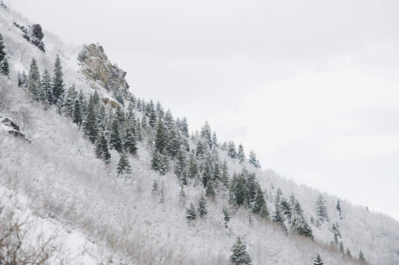 无人,横图,室外,白天,正面,旅游,度假,石头,美景,森林,山,树林,雪,雪山,植物,大雪,美国,阴影,光线,石子,影子,冰,积雪,景观,山顶,山峰,雪景,云,云朵,冬季,冬天,山峦,云彩,娱乐,树,树木,蓝色,绿色,白云,蓝天,天空,阳光,自然,天,享受,休闲,景色,放松,寒冷,生长,晴朗,成长,冰冷,北美,北美洲,犹他州,自然风光,美洲,沉积岩,北亚美利加洲,亚美利加洲,犹他,蜂窝之州,蜂房州,严寒,冰凉,酷寒,凛冽,凛凛,极冷,盐湖,大盐湖,颠峰,极峰,水成岩,石块,岩石,晴空,彩图
