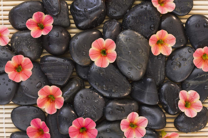 无人,横图,俯视,室内,特写,白天,石头,一堆,许多,阴影,堆叠,堆积,盛开,反射,石子,影子,花蕾,赤素馨花,花,花瓣,花朵,鲜花,黑色,花苞,花蕊,鹅卵石,堆,按摩石,缅栀子,蛋黄花,鸡蛋花,缅栀花,大季花,印度素馨,石块,彩图,高角度拍摄