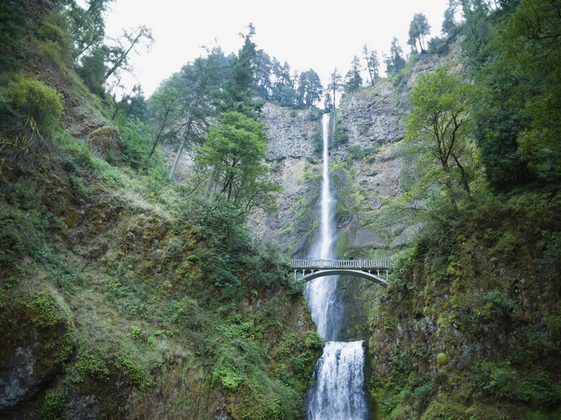 无人,横图,室外,白天,仰视,旅游,度假,石头,美景,瀑布,山,山脉,树林,水,峡谷,植物,美国,飞溅,溅,石子,液体,高地,景观,山峰,水滴,山谷,山峦,娱乐,水珠,树,树木,绿色,自然,群山,享受,休闲,景色,放松,生长,成长,北美,北美洲,岩层,喷洒,自然风光,美洲,河谷,俄勒冈州,哥伦比亚河谷,俄勒冈,北亚美利加洲,亚美利加洲,落日之州,水獭之州,海狸州,哥伦比亚谷,哥伦比亚山谷,摩特诺玛瀑布,跌水,石块,岩石,彩图,低角度拍摄