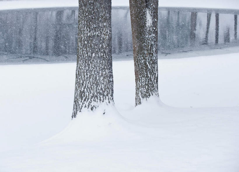 无人,横图,室外,白天,正面,旅游,度假,湖,湖泊,美景,水,雪,植物,大雪,美国,两棵,朦胧,模糊,湖面,积雪,景观,水流,水面,雪景,冬季,冬天,娱乐,树,树木,绿色,倒影,自然,湖水,享受,休闲,景色,放松,寒冷,生长,成长,倒映,北美,北美洲,自然风光,美洲,北亚美利加洲,亚美利加洲,康涅狄格,康涅狄格州,宪法之州,豆蔻之州,严寒,反照,彩图