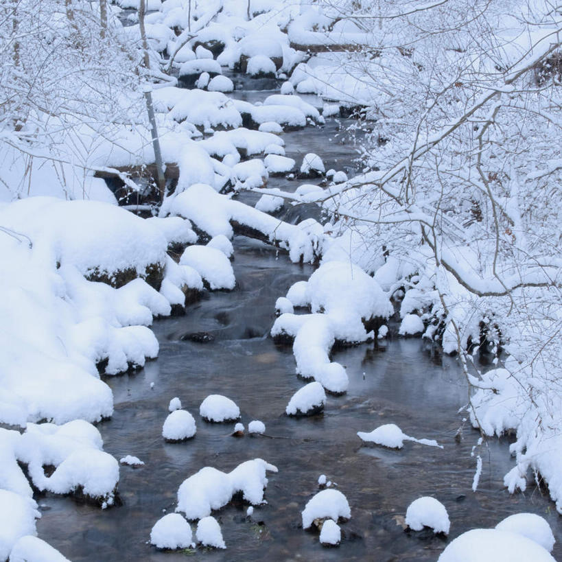 无人,方图,俯视,室外,白天,旅游,度假,河流,石头,美景,树林,水,雪,植物,大雪,美国,朦胧,模糊,石子,河水,积雪,景观,水流,雪景,冬季,冬天,娱乐,树,树木,绿色,自然,享受,休闲,景色,放松,寒冷,生长,成长,北美,北美洲,自然风光,美洲,北亚美利加洲,亚美利加洲,康涅狄格,康涅狄格州,宪法之州,豆蔻之州,严寒,石块,彩图,高角度拍摄