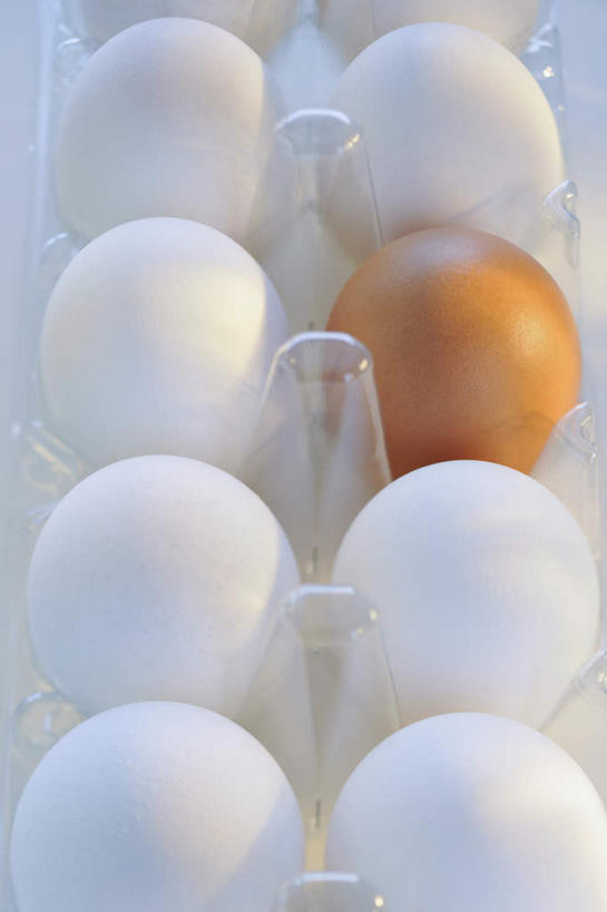 无人,竖图,俯视,室内,特写,白天,许多,阴影,环保,反射,蛋格,影子,蛋,鸡蛋,排列,红色,白色,摄影,影棚,能源,回收,资源,队列,利用,低碳,鸡蛋盒,循环,鸡蛋格,蛋托,蛋盒,卵,持续,彩图,高角度拍摄,影棚拍摄,拍摄