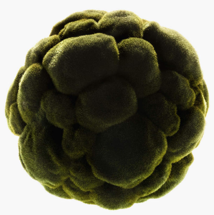 无人,竖图,室内,特写,白天,白色背景,正面,草地,草坪,植物,静物,缠绕,包裹,青苔,苔藓,背光,球,草,一个,绿色,球体,摄影,影棚,单个,逆光,彩图,影棚拍摄,拍摄