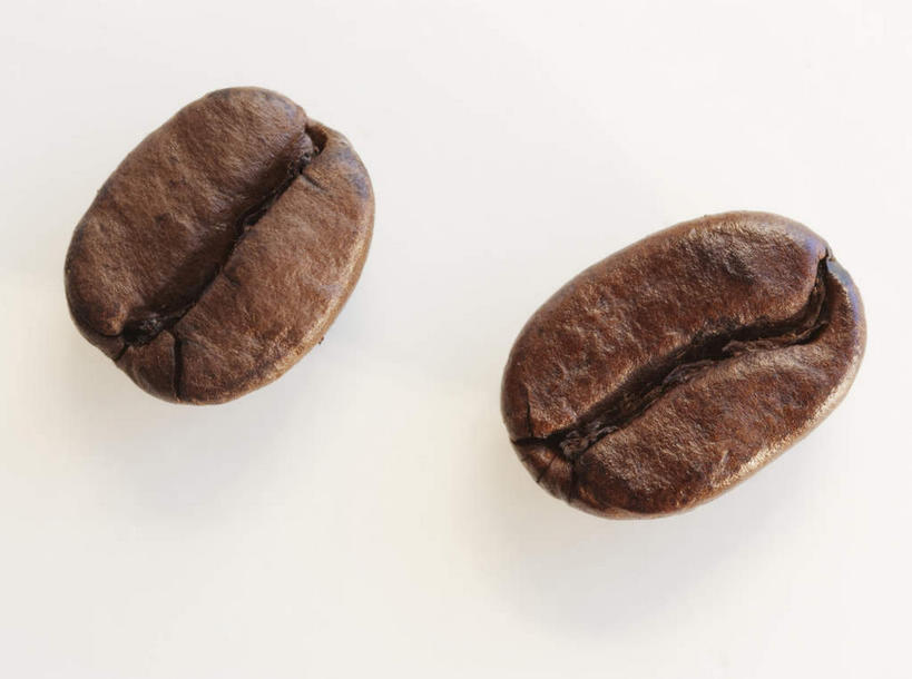 咖啡,无人,横图,俯视,室内,特写,白天,白色背景,植物,桌面,桌子,豆,阴影,反射,影子,豆类,豆子,两颗,两个,咖啡豆,摄影,影棚,豆科,咖啡因,两粒,彩图,高角度拍摄,影棚拍摄,拍摄