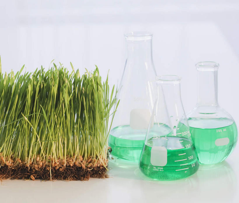 无人,横图,俯视,室内,特写,白天,白色背景,实验,仪器,草地,草坪,植物,桌面,桌子,阴影,研究,透明,反射,分析,化学,测试,烧瓶,液体,影子,锥形瓶,玻璃制品,草,三个,绿色,玻璃瓶,瓶子,器皿,摄影,影棚,玻璃仪器,试验耗材,实验用品,平底烧瓶,三角烧瓶,依氏烧瓶,锥形烧瓶,彩图,高角度拍摄,影棚拍摄,拍摄