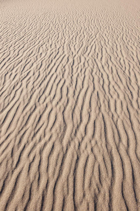 无人,公园,竖图,俯视,室外,特写,白天,旅游,度假,美景,沙漠,美国,阴影,光线,纹路,纹理,影子,景观,娱乐,黄色,阳光,自然,享受,休闲,景色,放松,北美,北美洲,国家公园,加利福尼亚,自然风光,美洲,加州,死亡谷国家公园,加利福尼亚州,金州,黄金州,肌理,北亚美利加洲,亚美利加洲,死谷,大漠,砂漠,彩图,高角度拍摄