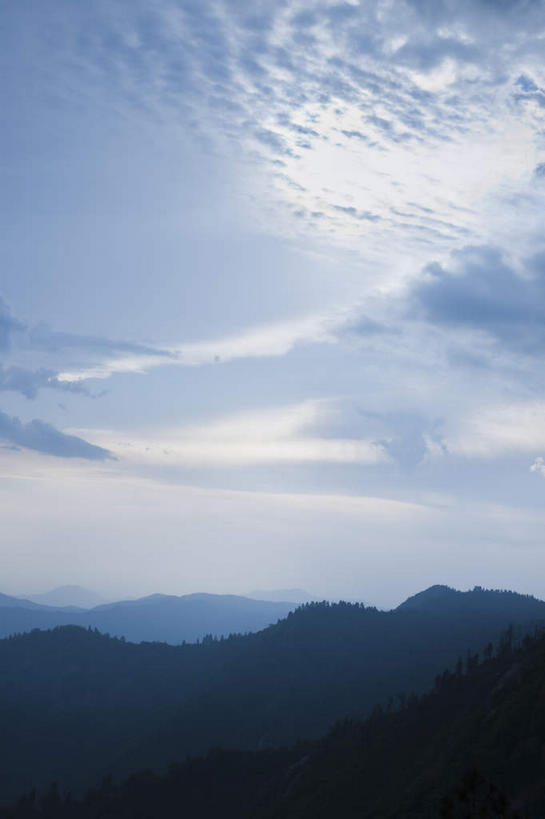 无人,公园,竖图,室外,白天,仰视,旅游,度假,美景,山,山脉,雾,美国,阴影,朦胧,模糊,光线,影子,景观,山峰,云,云朵,山峦,云彩,娱乐,蓝色,白云,蓝天,天空,阳光,自然,群山,天,享受,休闲,景色,放松,晴朗,迷雾,北美,北美洲,国家公园,加利福尼亚,自然风光,美洲,加州,加利福尼亚州,金州,黄金州,北亚美利加洲,亚美利加洲,红杉国家公园,红杉树国家公园,大雾,晴空,彩图,低角度拍摄