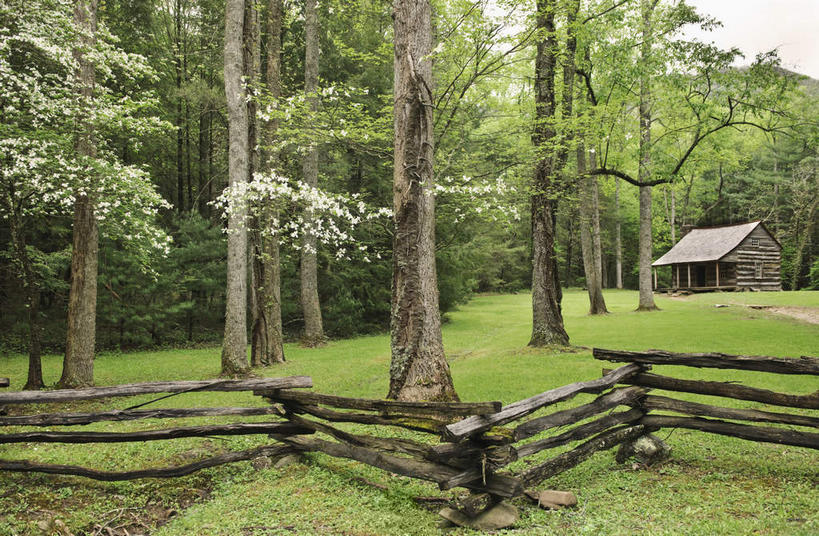 无人,公园,家,木屋,栏杆,横图,室外,白天,正面,旅游,度假,草地,草坪,美景,植物,美国,一排,整齐,栅栏,景观,篱笆,围栏,娱乐,护栏,住宅,草,树,树木,排列,绿色,自然,享受,休闲,景色,放松,生长,成长,北美,北美洲,国家公园,队列,自然风光,美洲,田纳西州,北亚美利加洲,亚美利加洲,田纳西,志愿之州,大雾山国家公园,大烟山国家公园,大雾山公园,大烟山公园,大雾山,大烟山,彩图,茅舍,茅屋,棚屋,小木屋,小屋