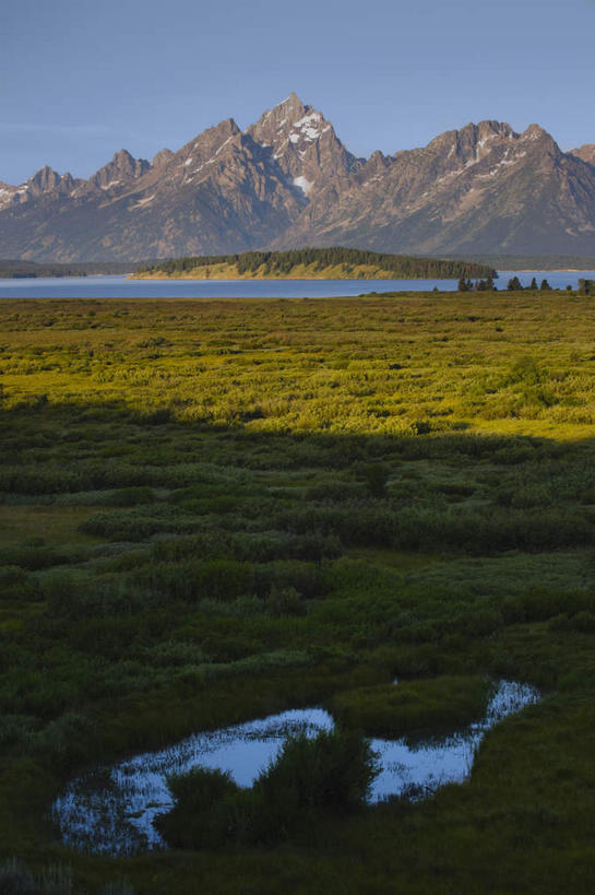 无人,公园,竖图,室外,白天,正面,旅游,度假,草地,草坪,湖,湖泊,石头,美景,山,山脉,水,植物,美国,阴影,光线,石子,影子,湖面,景观,山顶,山峰,水流,水面,山峦,娱乐,草,树,树木,蓝色,绿色,蓝天,天空,阳光,自然,湖水,群山,天,享受,休闲,景色,放松,生长,晴朗,成长,北美,北美洲,国家公园,自然风光,美洲,怀俄明州,怀俄明,沉积岩,万里无云,大提顿国家公园,北亚美利加洲,亚美利加洲,平等之州,大蒂顿国家公园,大堤顿国家公园,大提顿公园,颠峰,极峰,水成岩,石块,岩石,晴空,晴空万里,彩图