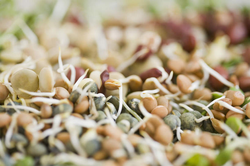 无人,横图,室外,特写,白天,正面,蔬菜,一堆,许多,堆叠,堆积,朦胧,模糊,新鲜,豆芽,食品,很多,食物,有机食品,绿色食品,堆,豆芽菜,芽苗菜,彩图