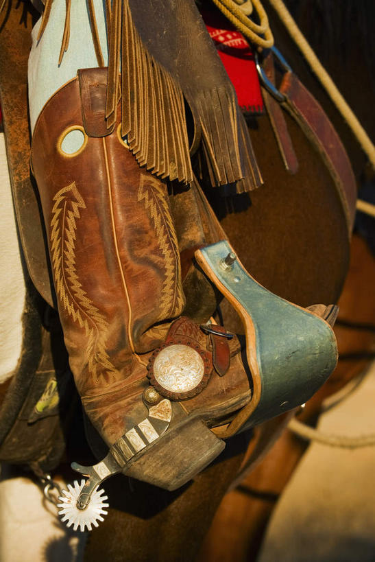 西方人,一个人,竖图,室外,特写,白天,侧面,草地,草原,草坪,植物,马,野生动物,鞋子,金属制品,欧洲,欧洲人,仅一个男性,仅一个人,枯萎,金属,荒野,旷野,热带,靴子,踩,一匹,草,仅一个年轻男性,动物,踩着,运输,牲畜,死亡,原野,牛仔靴,荒原,马具,马镫,枯败,男人,男性,年轻男性,白种人,半身,彩图