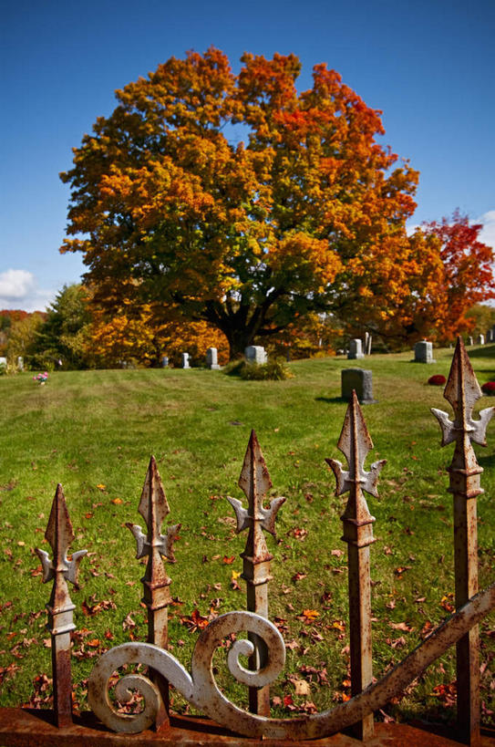 无人,栏杆,竖图,室外,白天,正面,旅游,度假,草地,草坪,美景,植物,美国,阴影,光线,影子,栅栏,景观,篱笆,围栏,娱乐,护栏,草,树,树木,蓝色,绿色,蓝天,天空,阳光,自然,墓碑,天,享受,休闲,墓地,景色,放松,生长,晴朗,成长,北美,北美洲,自然风光,美洲,坟场,万里无云,佛蒙特州,佛蒙特,绿岭之州,北亚美利加洲,亚美利加洲,晴空,晴空万里,彩图