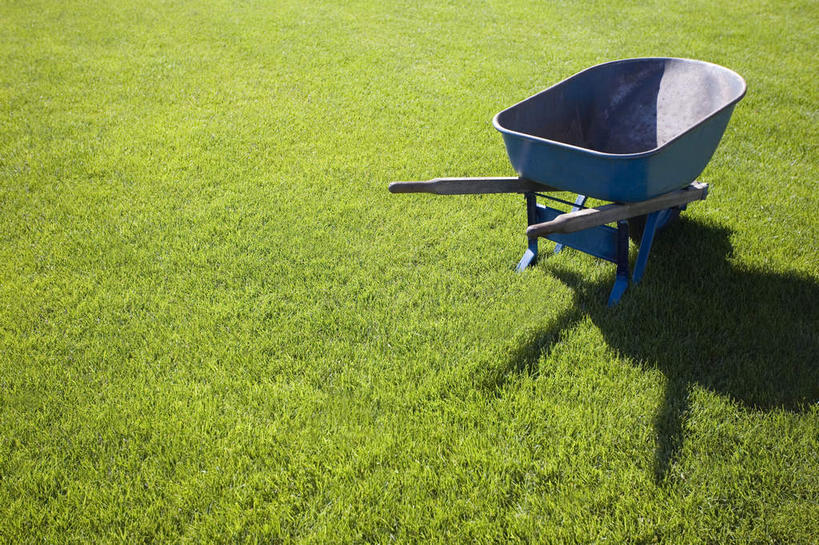 无人,横图,俯视,室外,特写,白天,草地,草坪,植物,一辆,阴影,光线,影子,车,草,绿色,阳光,手推车,交通工具,独轮车,载具,彩图,高角度拍摄