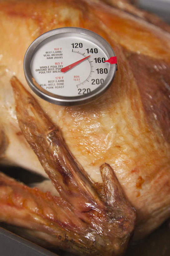 无人,竖图,俯视,室内,特写,白天,安全,生活用品,鸡,阴影,节日,庆祝,反射,医学,测量,烤盘,器材,温度计,影子,火鸡,文化,显示屏,家禽,一只,动物,体温计,庆典,牲畜,纪念,快速,温度,感冒,医疗,卫生,准确,体温,精度,精准,发烧,电子温度计,电子体温计,感恩节,流感,物理,感温头,温度传感器,读数,快捷,医用温度计,量温棒,热电偶,七面鸟,吐绶鸡,彩图,高角度拍摄