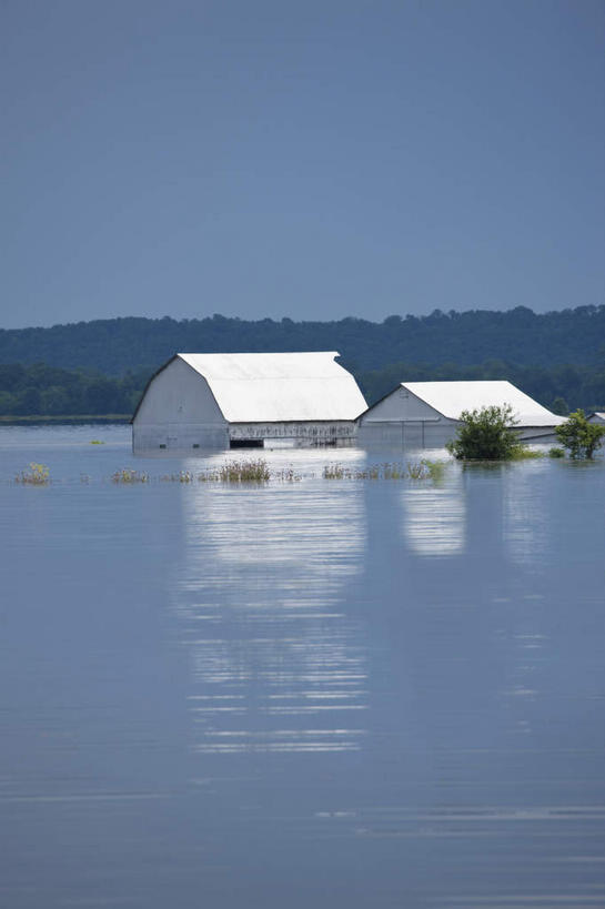 无人,家,竖图,室外,白天,正面,度假,湖,湖泊,美景,树林,水,植物,城市风光,城市,美国,房屋,屋子,湖面,景观,水流,水面,公寓,娱乐,洋房,楼房,住宅,树,树木,绿色,自然,湖水,享受,休闲,景色,放松,生长,成长,北美,北美洲,灾难,美洲,北亚美利加洲,亚美利加洲,密苏里,密苏里州,索证之州,劫难,磨难,灾祸,彩图,房子,水患,水灾,灾害
