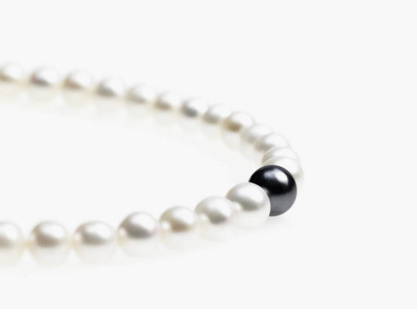 无人,横图,俯视,室内,特写,白天,白色背景,幸福,纯洁,静物,项链,阴影,反射,影子,珍珠,装饰品,饰品,首饰,健康,摄影,影棚,贵重,珍贵,富有,宝贵,有机宝石,黑珍珠,彩图,高角度拍摄,影棚拍摄,拍摄