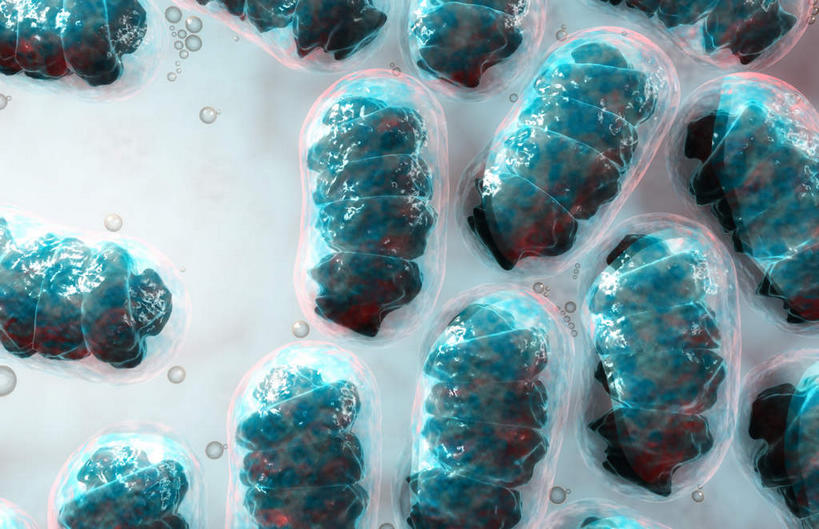 无人,横图,插画,室内,特写,白天,正面,数码,科技,静物,许多,阴影,黑色背景,网络,细菌,医学,细胞,高光,几何,计算机图形,合成,图画,画,绿色,人体,污染,电脑合成图,数码合成图,生物学,繁殖,漫画,生理学,写实,具体,具象,传染,彩图,原核微生物,蕃殖,繁生,感染,沾染,孳生,滋生