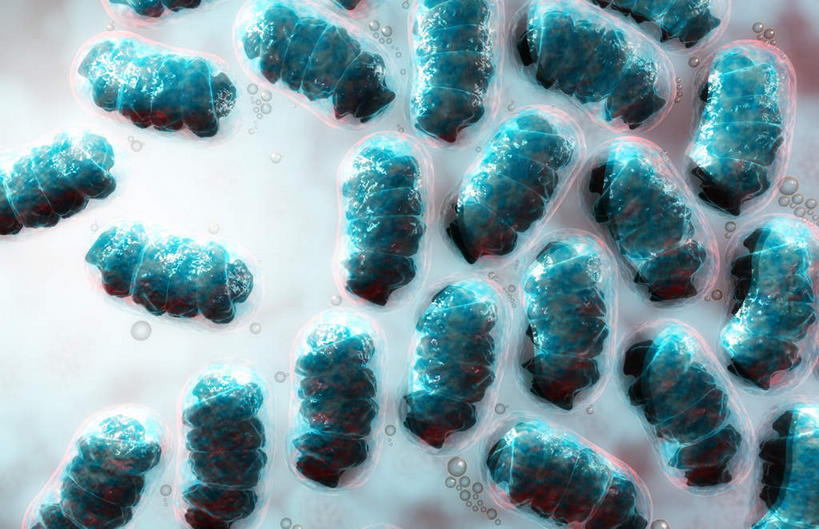 无人,横图,插画,室内,特写,白天,正面,数码,科技,静物,许多,阴影,黑色背景,网络,细菌,医学,细胞,高光,几何,计算机图形,合成,图画,画,绿色,人体,污染,电脑合成图,数码合成图,生物学,繁殖,漫画,生理学,写实,具体,具象,传染,彩图,原核微生物,蕃殖,繁生,感染,沾染,孳生,滋生