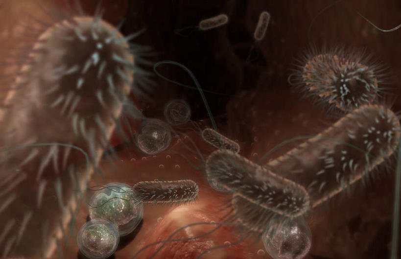 腹部,胃,无人,横图,插画,室内,特写,白天,正面,数码,科技,静物,阴影,黑色背景,网络,细菌,医学,细胞,高光,几何,计算机图形,合成,图画,画,灰色,人体,污染,电脑合成图,数码合成图,生物学,繁殖,漫画,生理学,写实,具体,具象,传染,胃部,彩图,原核生物,蕃殖,繁生,感染,沾染,孳生,滋生