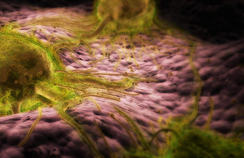 无人,横图,插画,室内,特写,白天,正面,数码,科技,静物,阴影,黑色背景,网络,医学,细胞,高光,几何,计算机图形,合成,图画,画,人体,电脑合成图,数码合成图,生物学,繁殖,乳腺癌,漫画,癌症,生理学,写实,具体,具象,乳腺,彩图,乳癌,蕃殖,繁生,孳生,滋生