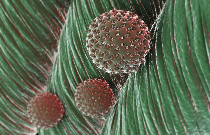 无人,横图,插画,室内,特写,白天,正面,数码,科技,静物,一排,阴影,黑色背景,整齐,网络,医学,颗粒,细胞,高光,几何,计算机图形,合成,图画,画,排列,三个,绿色,球体,人体,电脑合成图,数码合成图,生物学,队列,漫画,花粉,生理学,写实,具体,具象,过敏反应,彩图,花粉粒