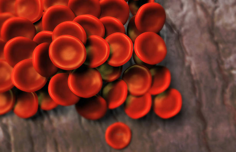 无人,横图,插画,室内,特写,白天,正面,数码,科技,静物,阴影,黑色背景,网络,医学,细胞,高光,几何,计算机图形,合成,图画,画,红色,血液,人体,电脑合成图,数码合成图,生物学,心血管系统,血细胞,漫画,生理学,写实,具体,具象,红细胞,T淋巴细胞,彩图