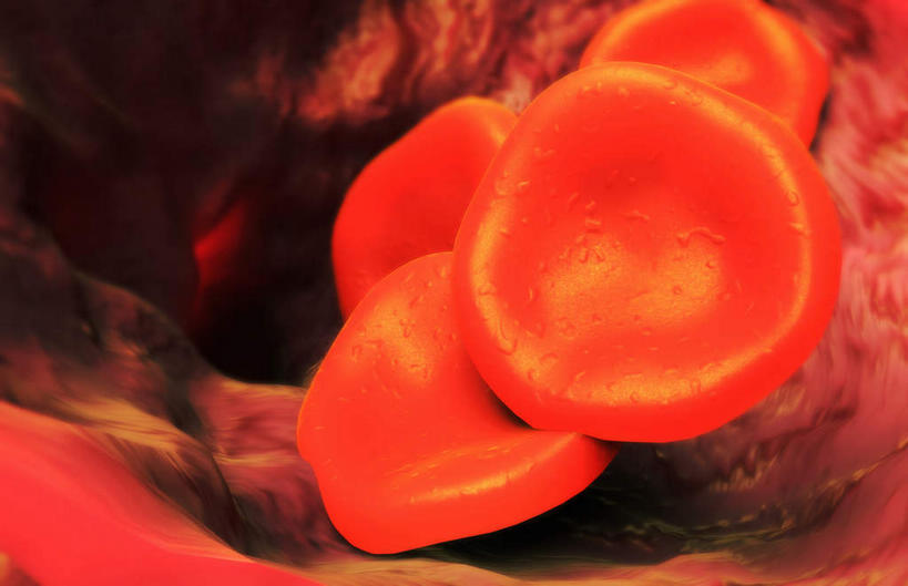 无人,横图,插画,室内,特写,白天,正面,数码,科技,静物,阴影,黑色背景,网络,医学,细胞,高光,几何,计算机图形,合成,图画,画,红色,血液,人体,电脑合成图,数码合成图,生物学,心血管系统,血细胞,漫画,生理学,写实,具体,具象,红细胞,T淋巴细胞,彩图