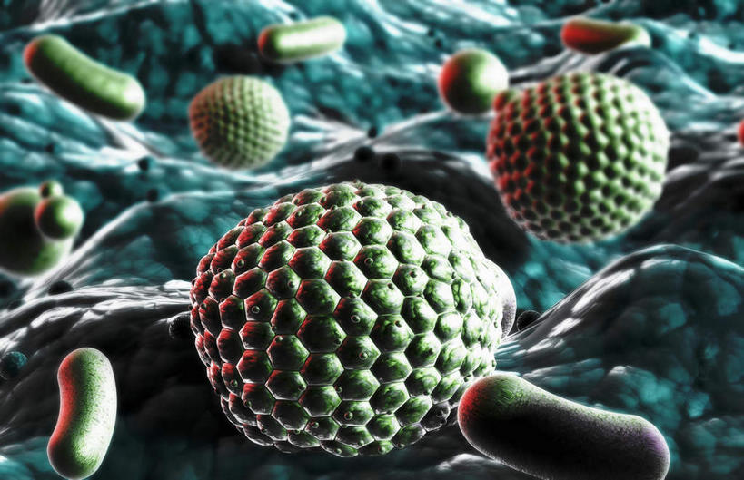 无人,横图,插画,室内,特写,白天,正面,数码,科技,静物,阴影,网络,医学,颗粒,细胞,高光,几何,计算机图形,合成,图画,画,绿色,球体,人体,电脑合成图,数码合成图,生物学,漫画,花粉,过敏,生理学,写实,具体,具象,过敏反应,彩图,花粉粒