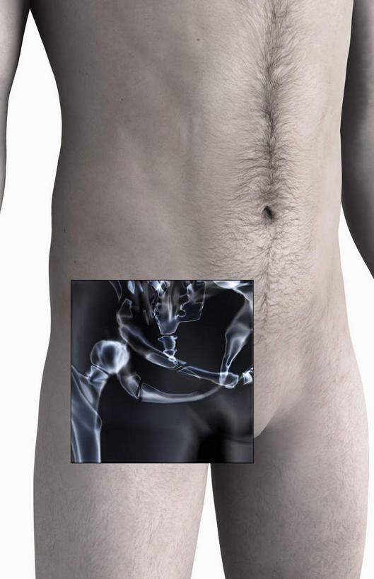 脊髓,动脉,静脉,骨骼,胸骨,肋骨,肌肉,健壮,无人,竖图,插画,室内,特写,白天,白色背景,正面,数码,科技,静物,阴影,网络,医学,骨头,高光,几何,计算机图形,合成,图画,裸露,画,模型,健康,活力,力量,人体,赤裸,青春,电脑合成图,数码合成图,骨架,生物学,强壮,裸,骨折,漫画,生理学,写实,具体,具象,髌骨,腓骨,股骨,胫骨,软肋骨,胸椎,腰骨,脊柱,半身,彩图