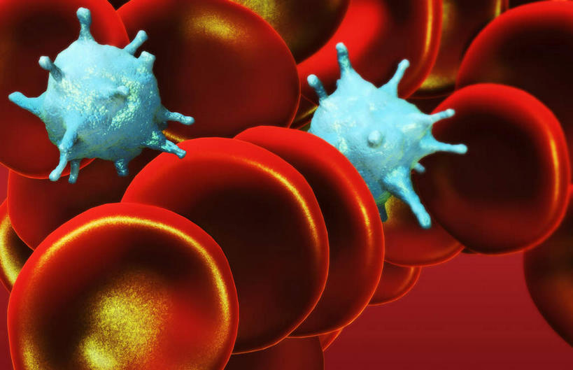 无人,横图,插画,室内,特写,白天,正面,数码,科技,静物,阴影,网络,医学,细胞,高光,几何,计算机图形,合成,图画,画,红色,血液,人体,电脑合成图,数码合成图,生物学,心血管系统,血小板,漫画,生理学,写实,具体,具象,红细胞,彩图