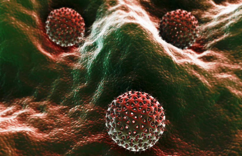 无人,横图,插画,室内,白天,正面,数码,科技,静物,阴影,网络,医学,高光,几何,计算机图形,合成,图画,画,生物,人体,电脑合成图,数码合成图,医疗,生物学,漫画,生理学,写实,具体,具象,花粉热,枯草热,彩图