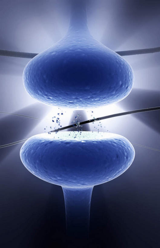 无人,竖图,插画,室内,白天,正面,数码,科技,静物,阴影,网络,医学,高光,几何,计算机图形,合成,图画,画,生物,人体,电脑合成图,数码合成图,医疗,生物学,漫画,生理学,写实,具体,具象,树突,突触,突触间隙,彩图,神经系统