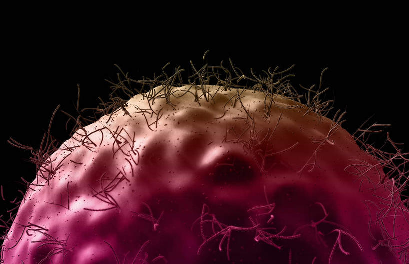 无人,横图,插画,室内,白天,正面,数码,科技,静物,阴影,黑色背景,网络,医学,高光,几何,计算机图形,合成,图画,画,红色,生物,人体,电脑合成图,数码合成图,医疗,生物学,蛋白质,漫画,生理学,写实,具体,具象,糖脂,彩图