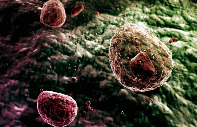 无人,横图,插画,室内,白天,正面,数码,科技,静物,阴影,网络,医学,高光,几何,计算机图形,合成,图画,画,红色,绿色,生物,人体,电脑合成图,数码合成图,医疗,生物学,血小板,漫画,生理学,写实,具体,具象,免疫系统,彩图,感染