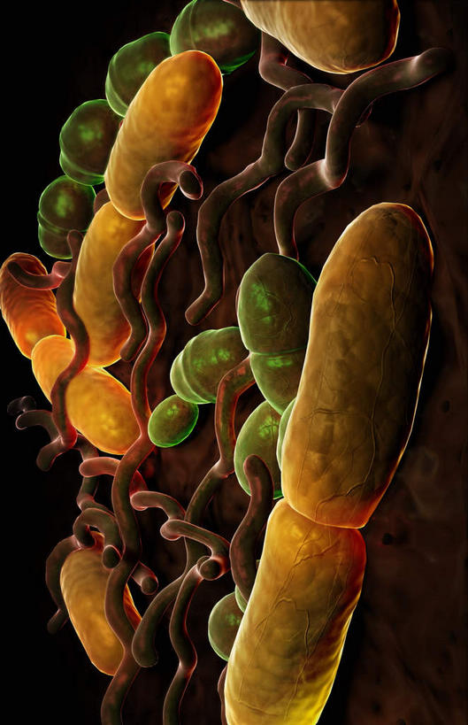 无人,竖图,插画,室内,特写,白天,正面,数码,科技,静物,阴影,网络,细菌,医学,表面,高光,几何,计算机图形,合成,图画,画,黄色,生物,人体,电脑合成图,数码合成图,医疗,生物学,漫画,生理学,写实,具体,具象,彩图