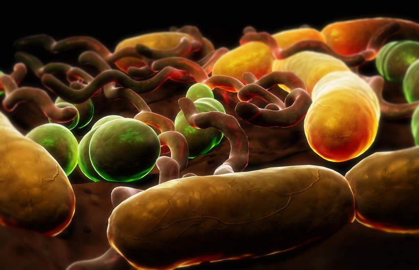 无人,横图,插画,室内,特写,白天,正面,数码,科技,静物,阴影,网络,细菌,医学,表面,高光,几何,计算机图形,合成,图画,画,黄色,生物,人体,电脑合成图,数码合成图,医疗,生物学,漫画,生理学,写实,具体,具象,彩图