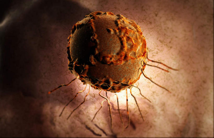 无人,横图,插画,室内,白天,正面,数码,科技,微生物,静物,阴影,网络,医学,细胞,高光,几何,计算机图形,合成,图画,画,球体,生物,人体,电脑合成图,数码合成图,医疗,生物学,漫画,生理学,写实,具体,具象,寄生,生命体,多能干细胞,彩图,干细胞