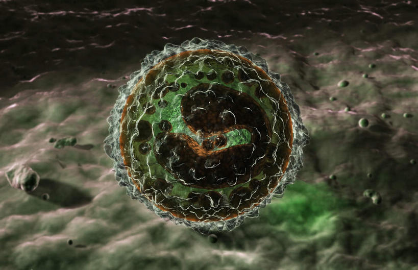 无人,横图,插画,室内,白天,正面,数码,科技,微生物,静物,阴影,网络,医学,细胞,高光,几何,计算机图形,合成,图画,画,生物,人体,电脑合成图,数码合成图,医疗,生物学,漫画,生理学,写实,具体,具象,T淋巴细胞,T细胞,淋巴细胞,生命体,彩图