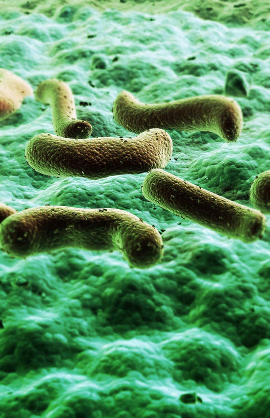 无人,竖图,插画,室内,白天,正面,数码,科技,静物,阴影,发光,网络,细菌,医学,高光,几何,计算机图形,合成,图画,画,绿色,生物,人体,刺眼,耀眼,电脑合成图,数码合成图,医疗,生物学,漫画,生理学,写实,具体,具象,内腔,彩图,夺目