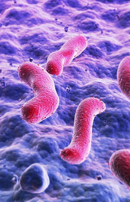 无人,竖图,插画,室内,白天,正面,数码,科技,静物,阴影,发光,网络,细菌,医学,高光,几何,计算机图形,合成,图画,画,红色,紫色,生物,人体,刺眼,耀眼,电脑合成图,数码合成图,医疗,生物学,漫画,生理学,写实,具体,具象,内腔,彩图,夺目