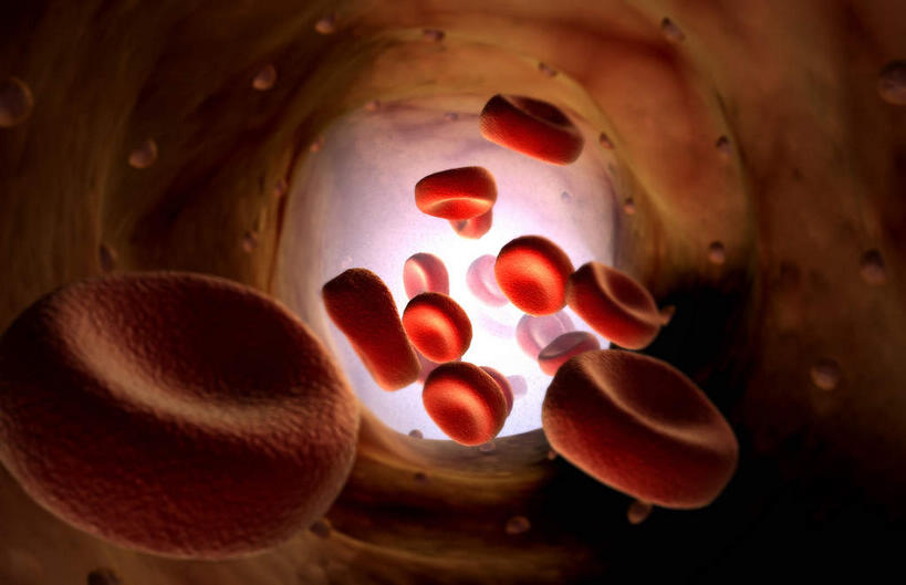 无人,横图,插画,室内,白天,正面,数码,科技,微生物,静物,阴影,黑色背景,发光,网络,血球,医学,高光,几何,计算机图形,合成,图画,画,红色,白色,生物,人体,电脑合成图,数码合成图,医疗,生物学,血细胞,血小板,漫画,生理学,写实,具体,具象,红细胞,寄生,生命体,彩图