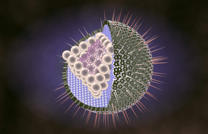 无人,横图,插画,室内,白天,正面,数码,科技,阴影,黑色背景,发光,网络,医学,高光,几何,计算机图形,合成,图画,画,生物,刺眼,耀眼,电脑合成图,数码合成图,医疗,生物学,漫画,写实,具体,具象,DNA病毒,疱疹,疱疹病毒,彩图,夺目