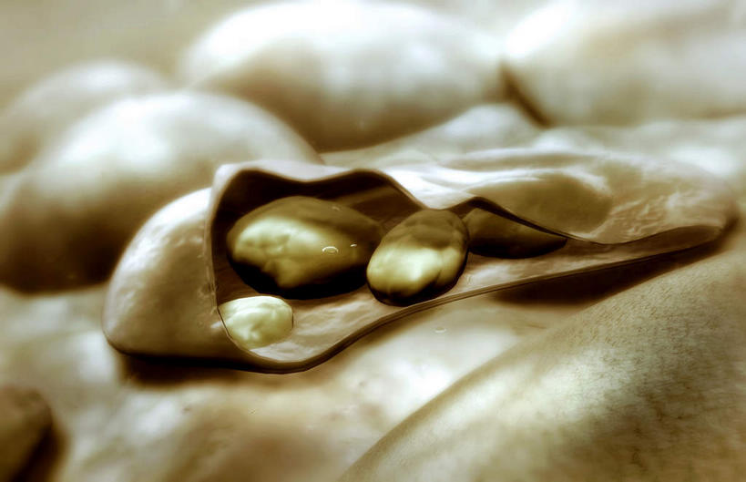 无人,横图,插画,室内,白天,正面,数码,科技,静物,阴影,网络,医学,高光,几何,计算机图形,合成,图画,画,生物,人体,电脑合成图,数码合成图,医疗,生物学,漫画,生理学,写实,具体,具象,传染病,疟疾,疟原虫,彩图