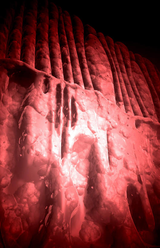 眼睛,动脉,静脉,无人,竖图,插画,室内,特写,白天,白色背景,正面,数码,科技,静物,瞳孔,阴影,网络,医学,高光,几何,计算机图形,合成,图画,画,模型,人体,眼部,电脑合成图,数码合成图,生物学,视网膜,人体器官,器官,漫画,生理学,写实,具体,具象,眼,彩图